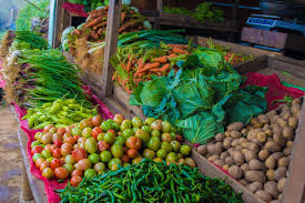 Galeri Toko Sayur 